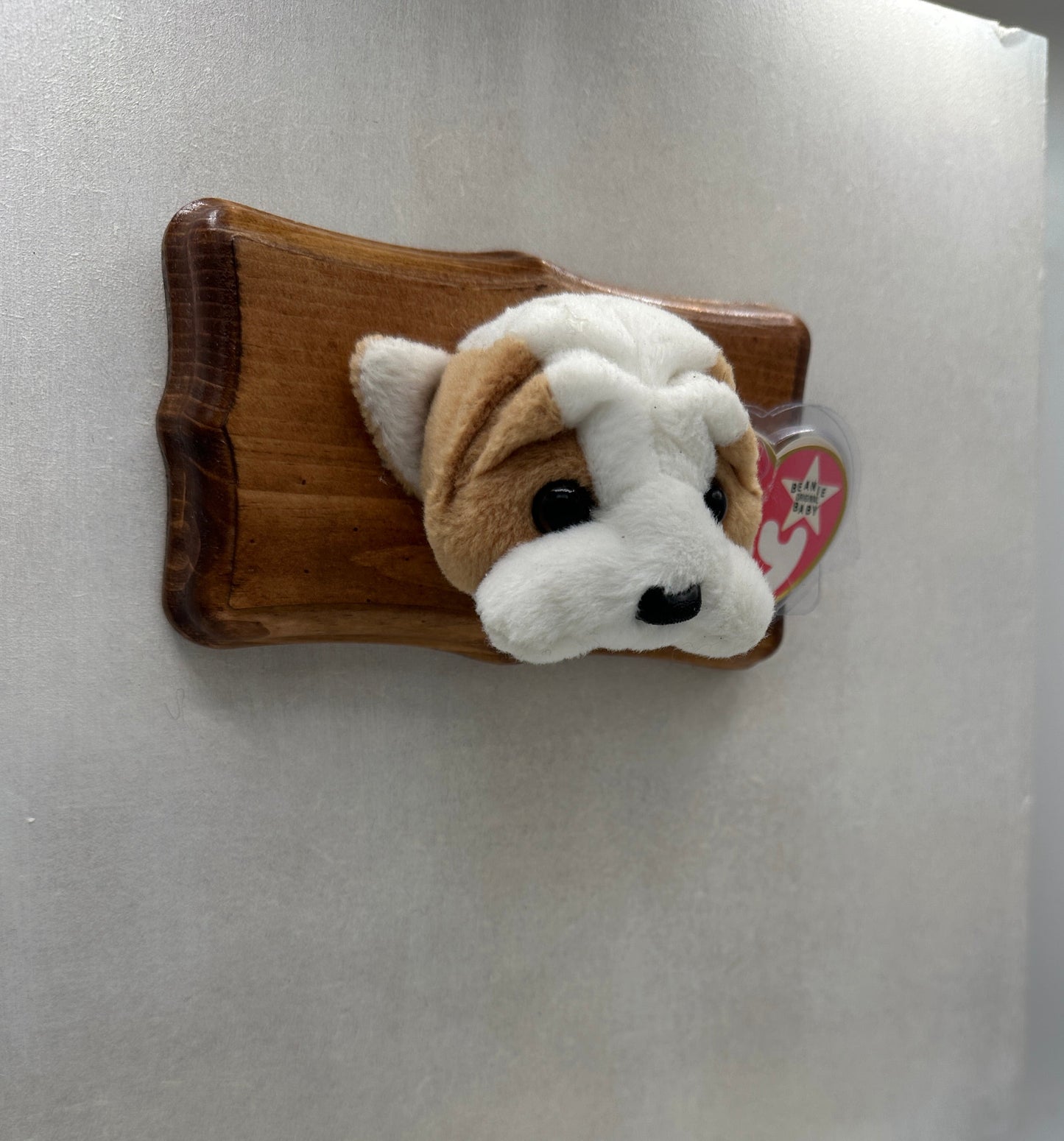 Wrinkles Trophy Animal