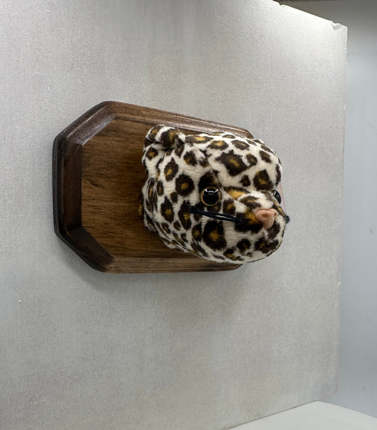 Freckles Trophy Animal