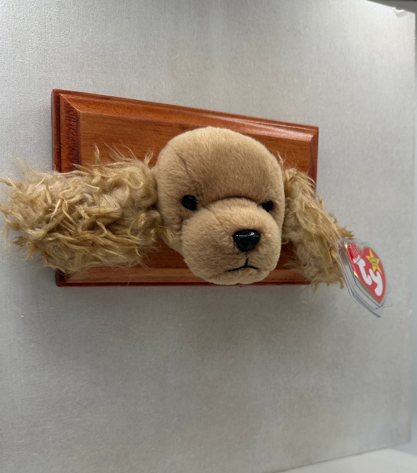 Spunky Trophy Animal