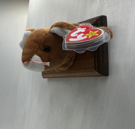 Ears Trophy Animal