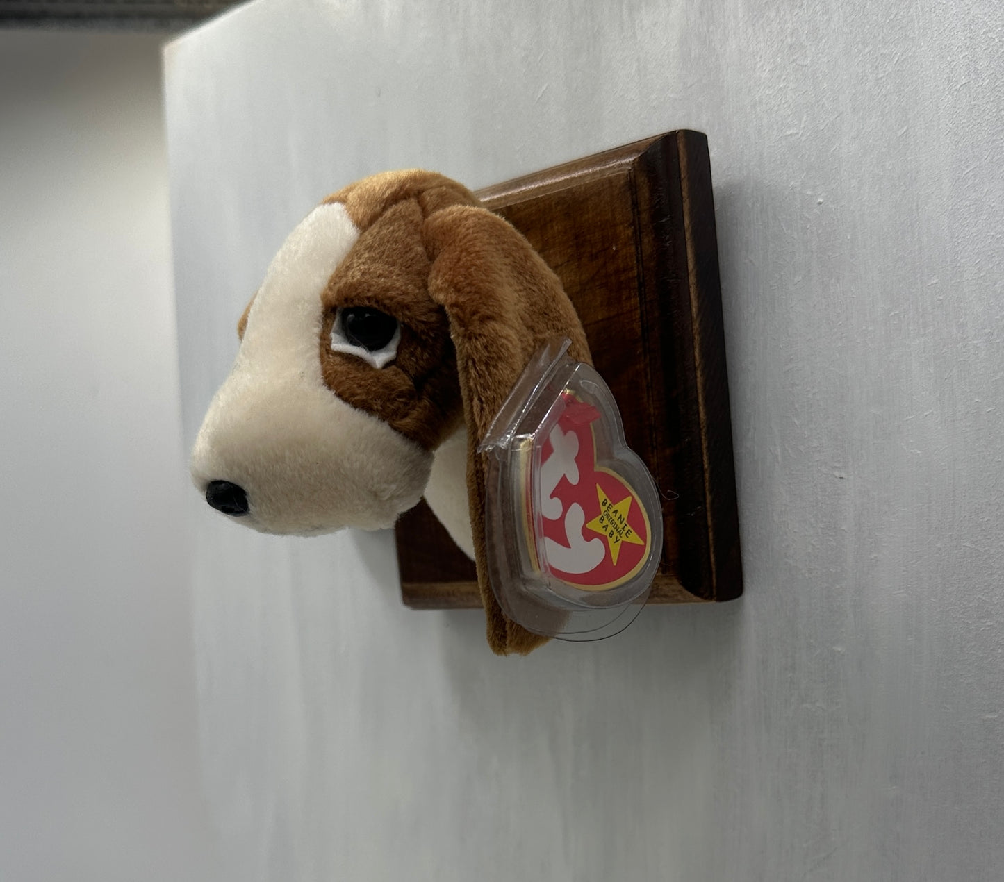 Tracker Trophy Animal