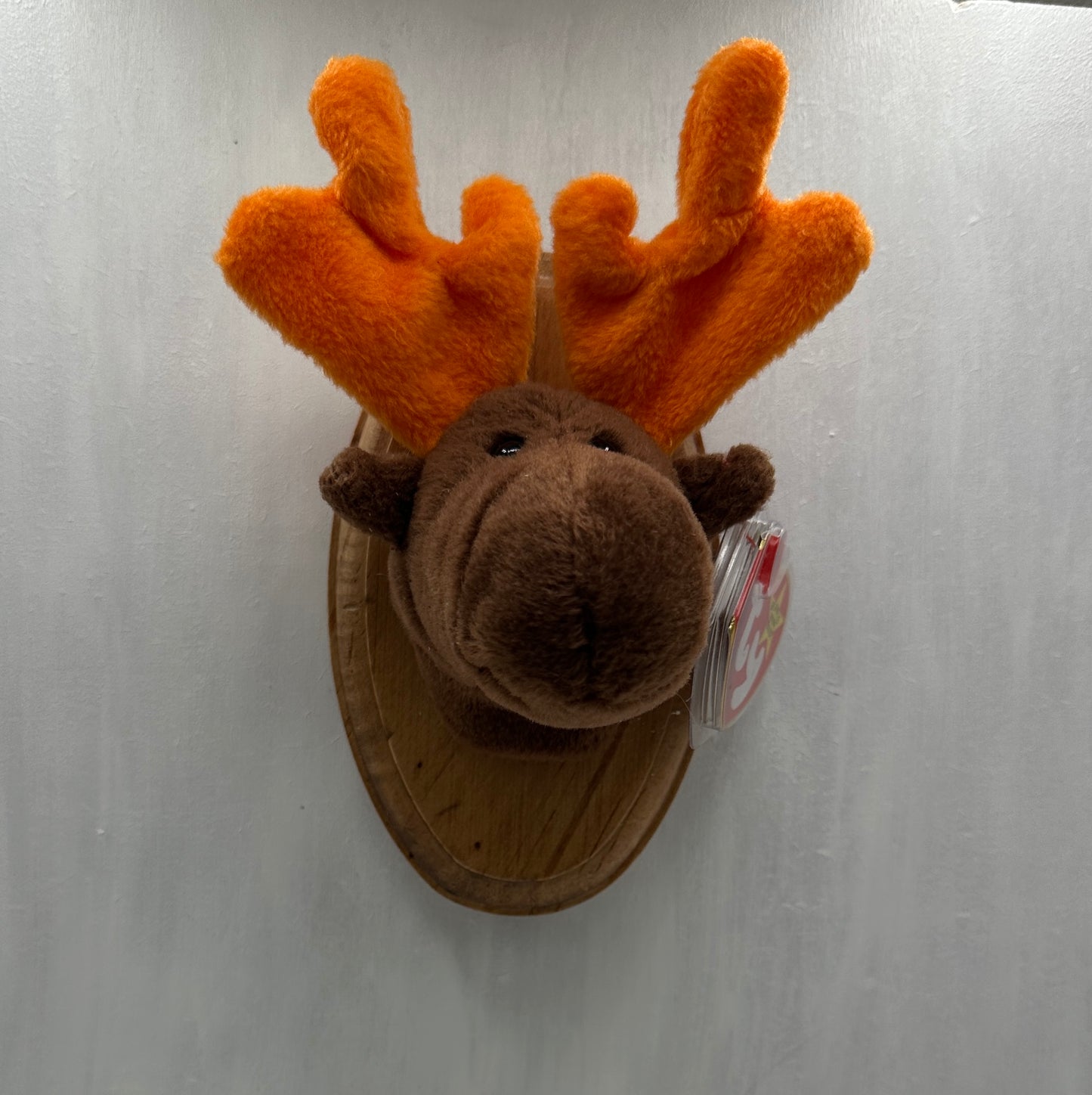 Chocolate Trophy Animal