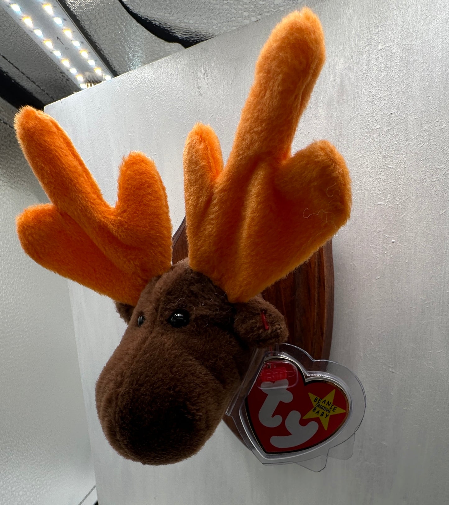 Chocolate Trophy Animal
