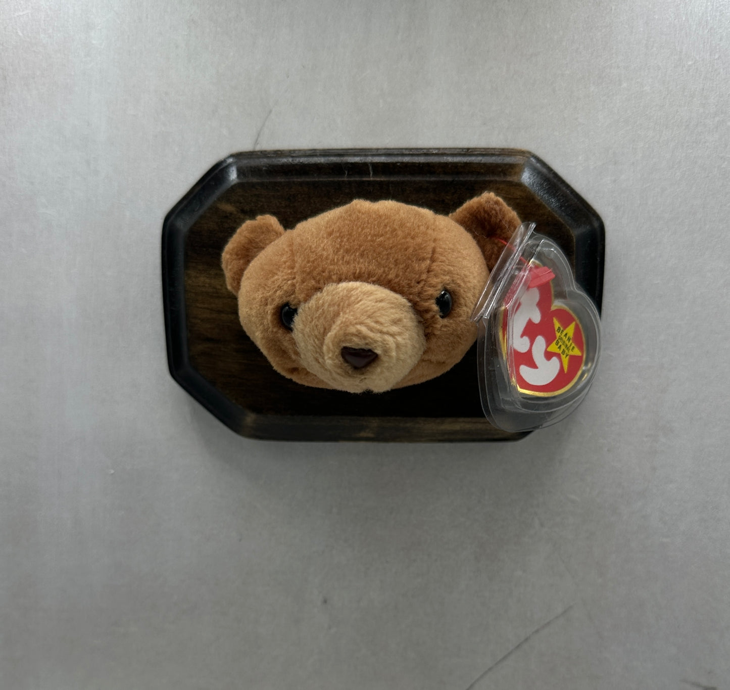 Cubbie Trophy Animal