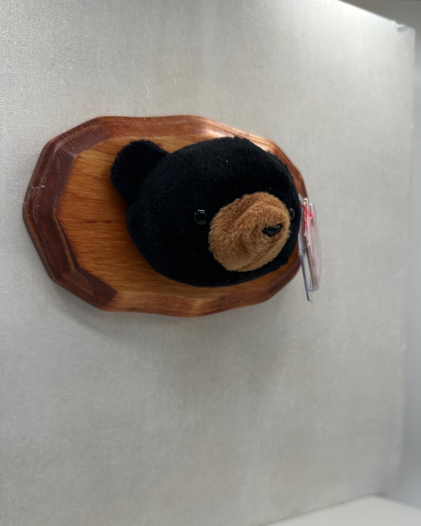 Blackie Trophy Animal