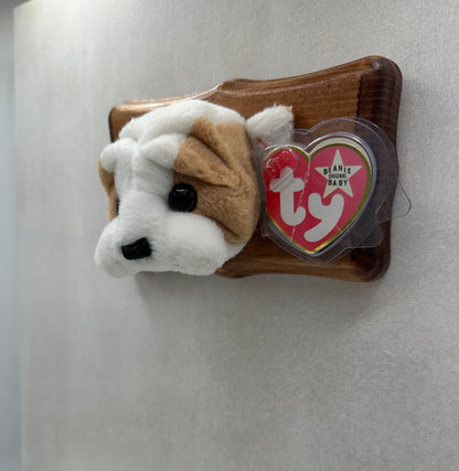 Wrinkles Trophy Animal