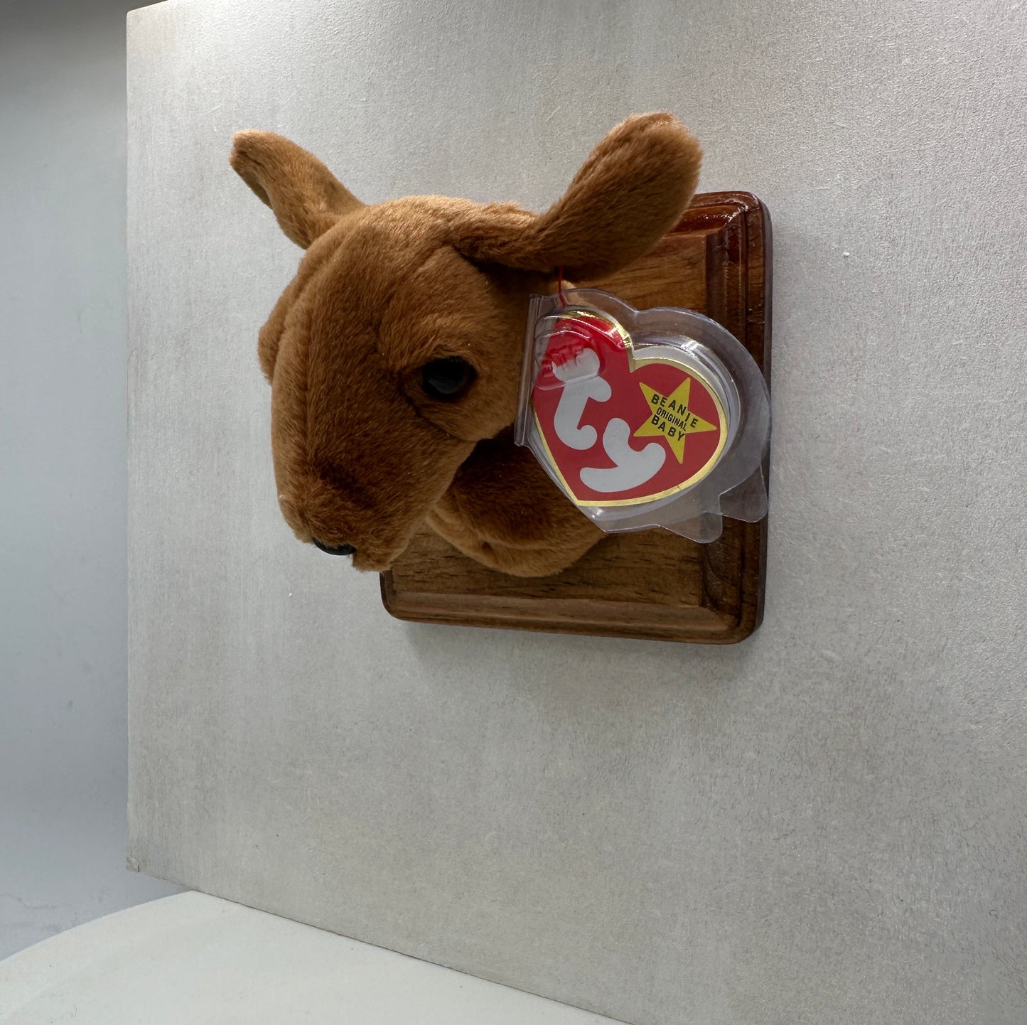 Weenie Trophy Animal