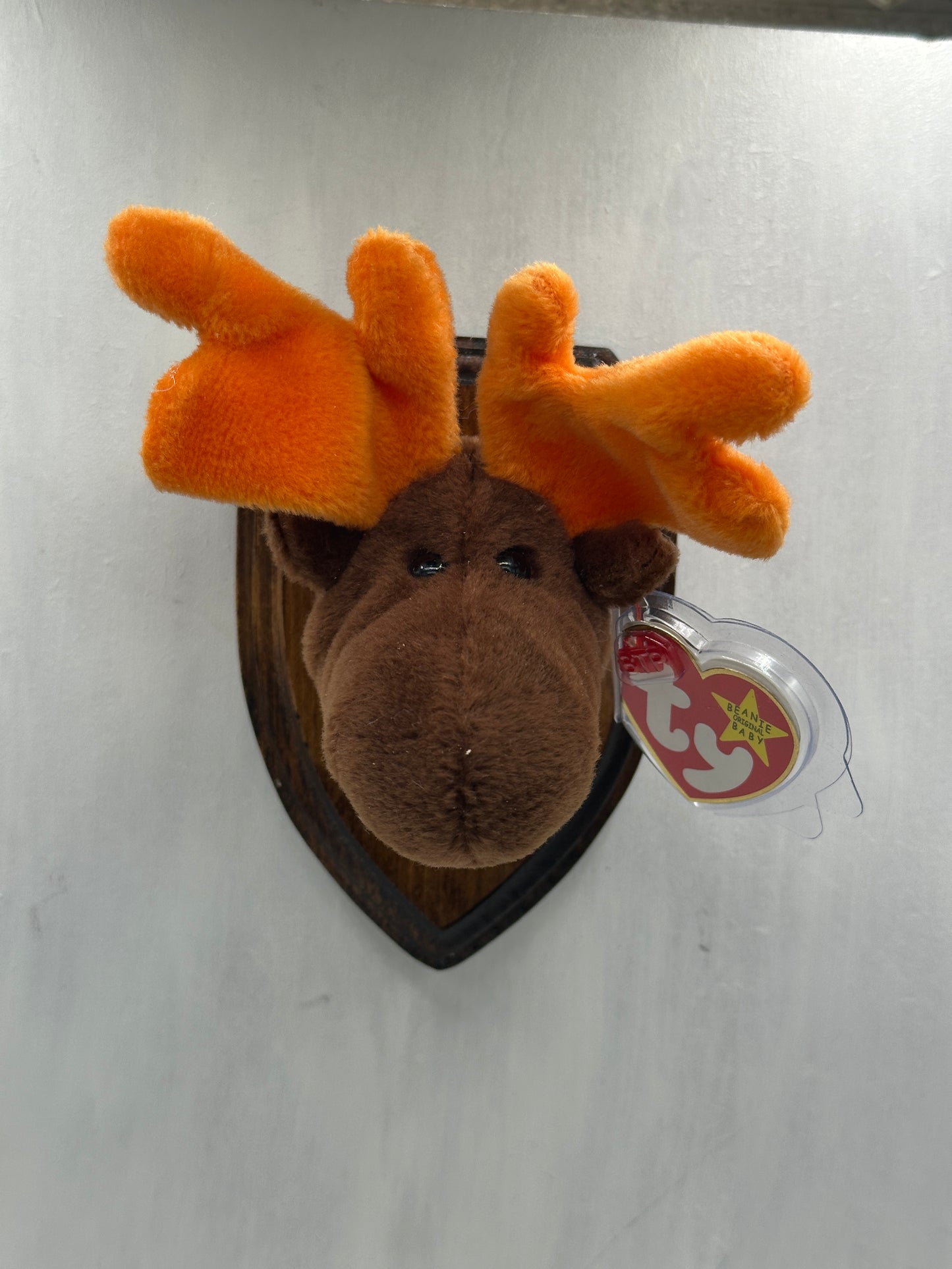Chocolate Trophy Animal