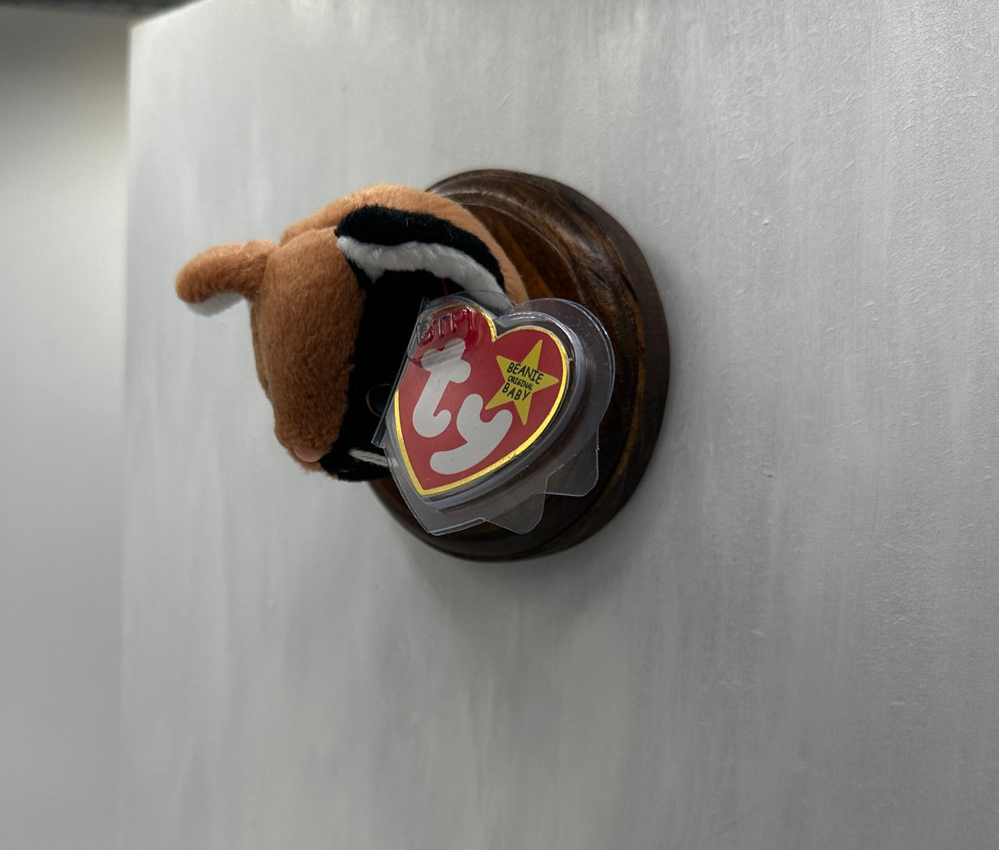 Chip Trophy Animal