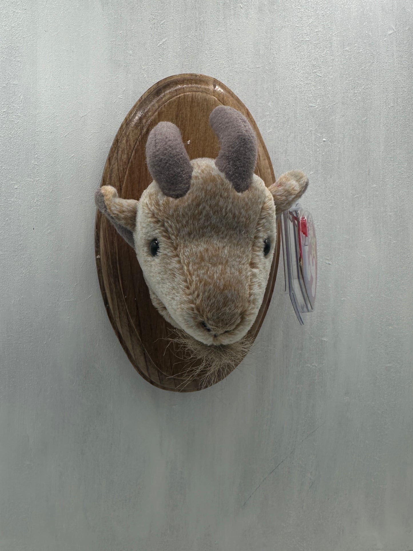 Goatee Trophy Animal