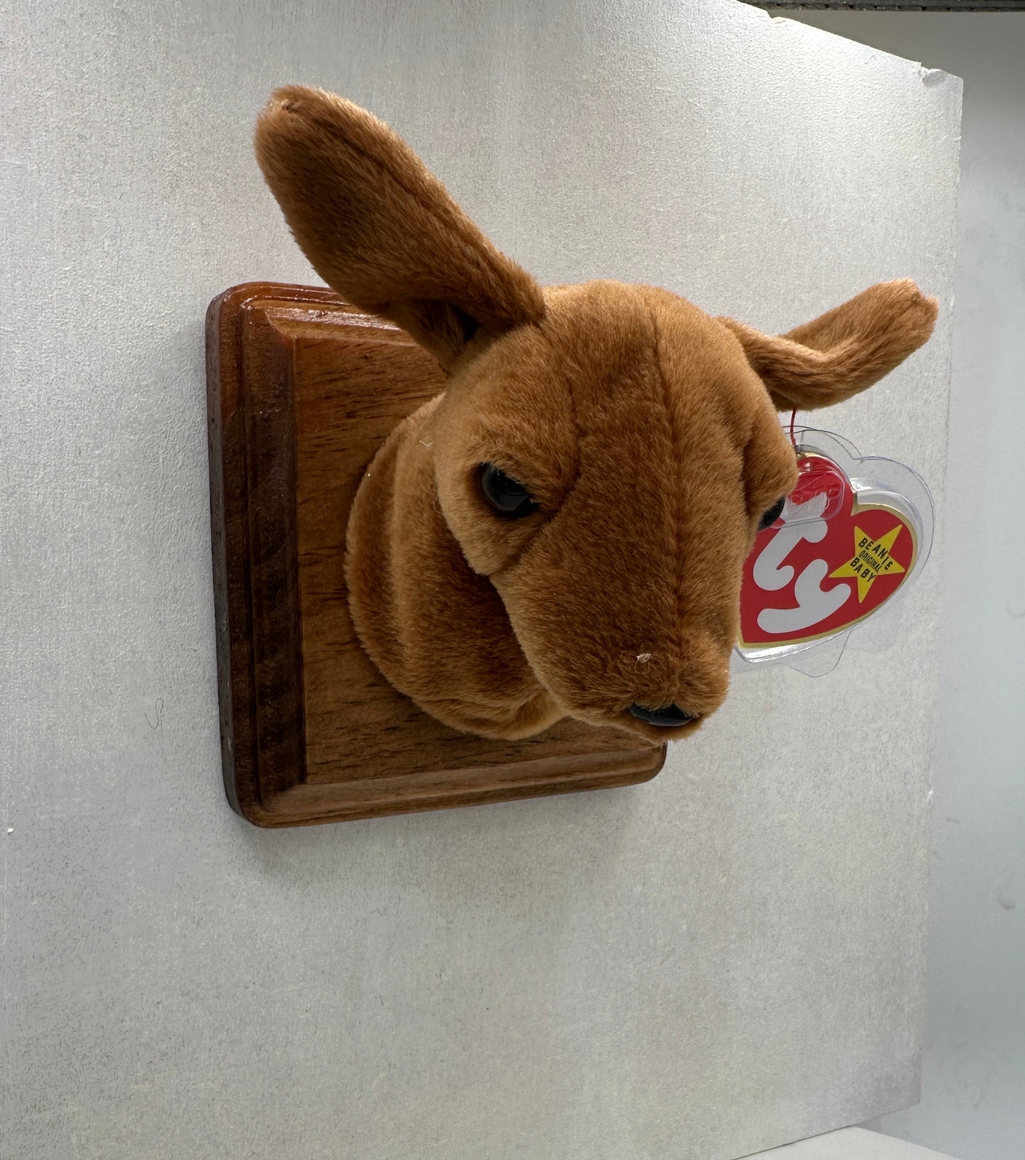 Weenie Trophy Animal