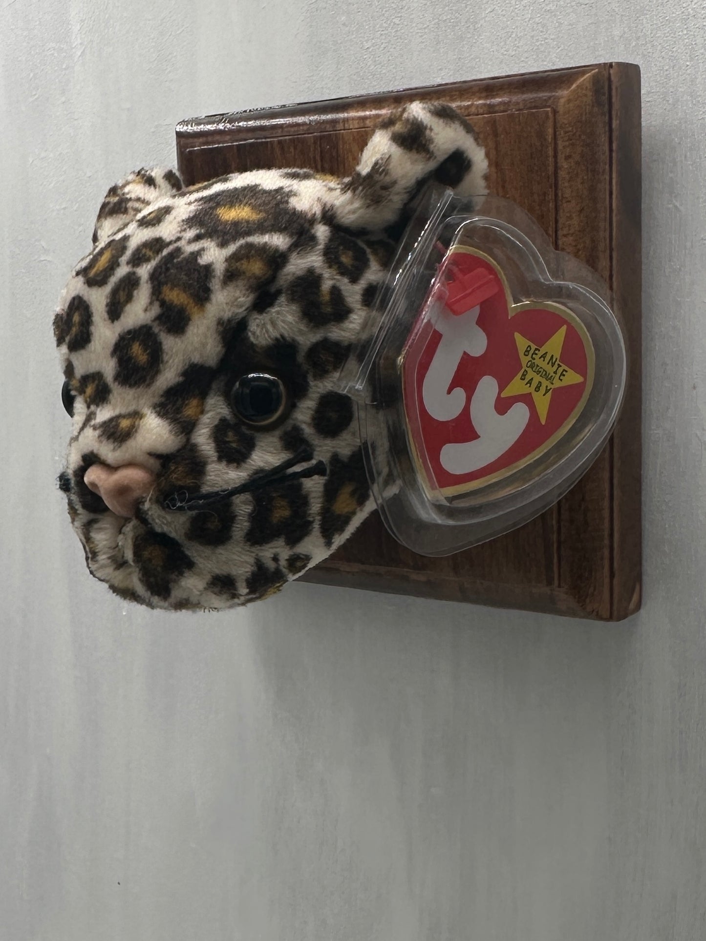 Freckles Trophy Animal