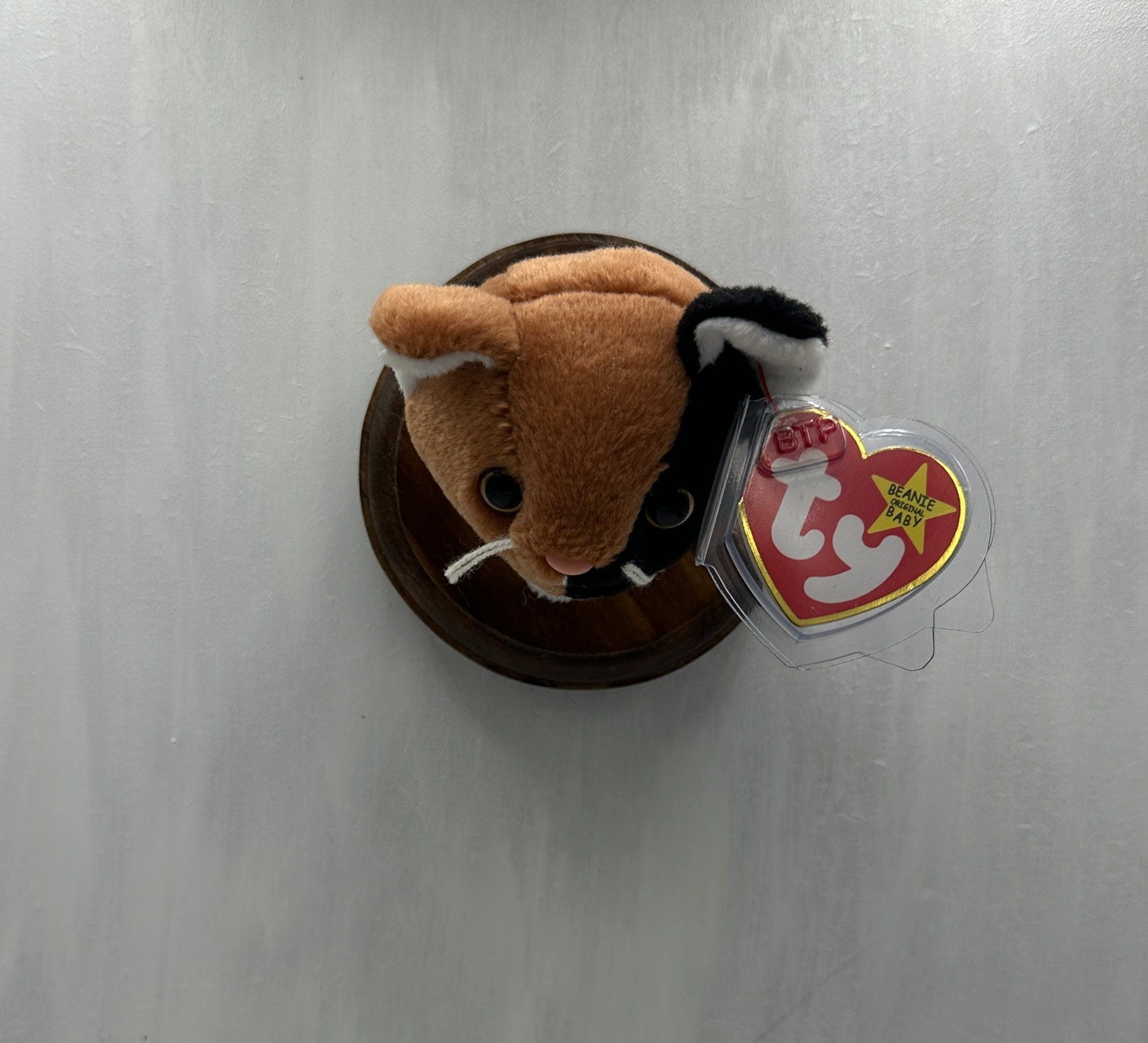 Chip Trophy Animal