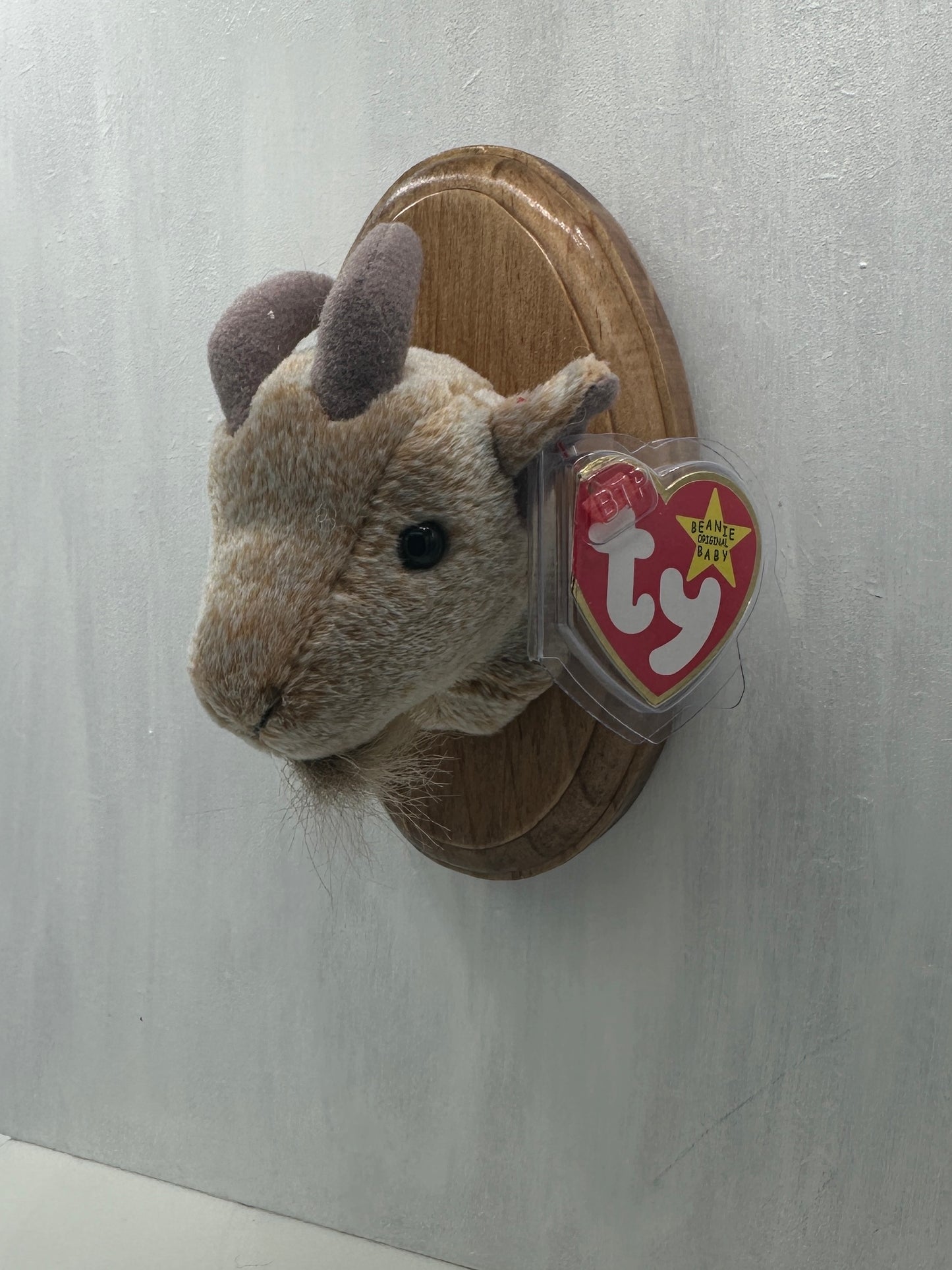 Goatee Trophy Animal