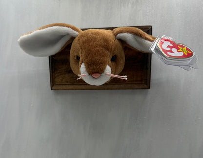 Ears Trophy Animal
