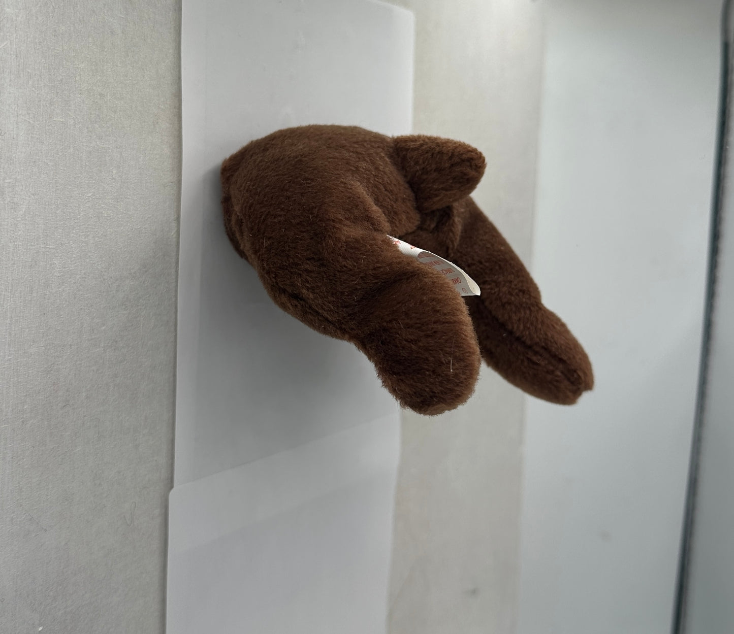 Chocolate Beanie Booty