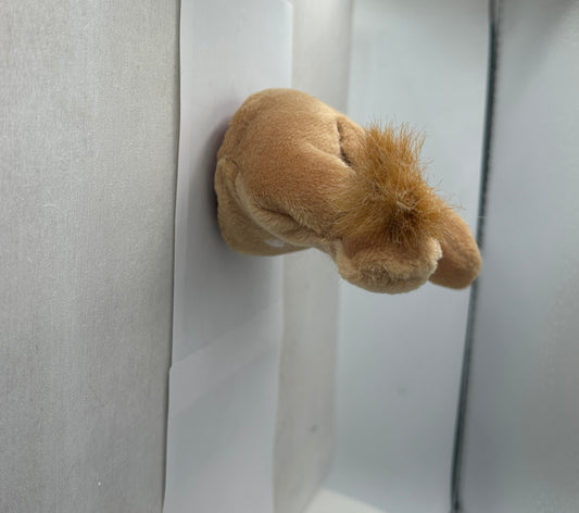 Roary Beanie Booty