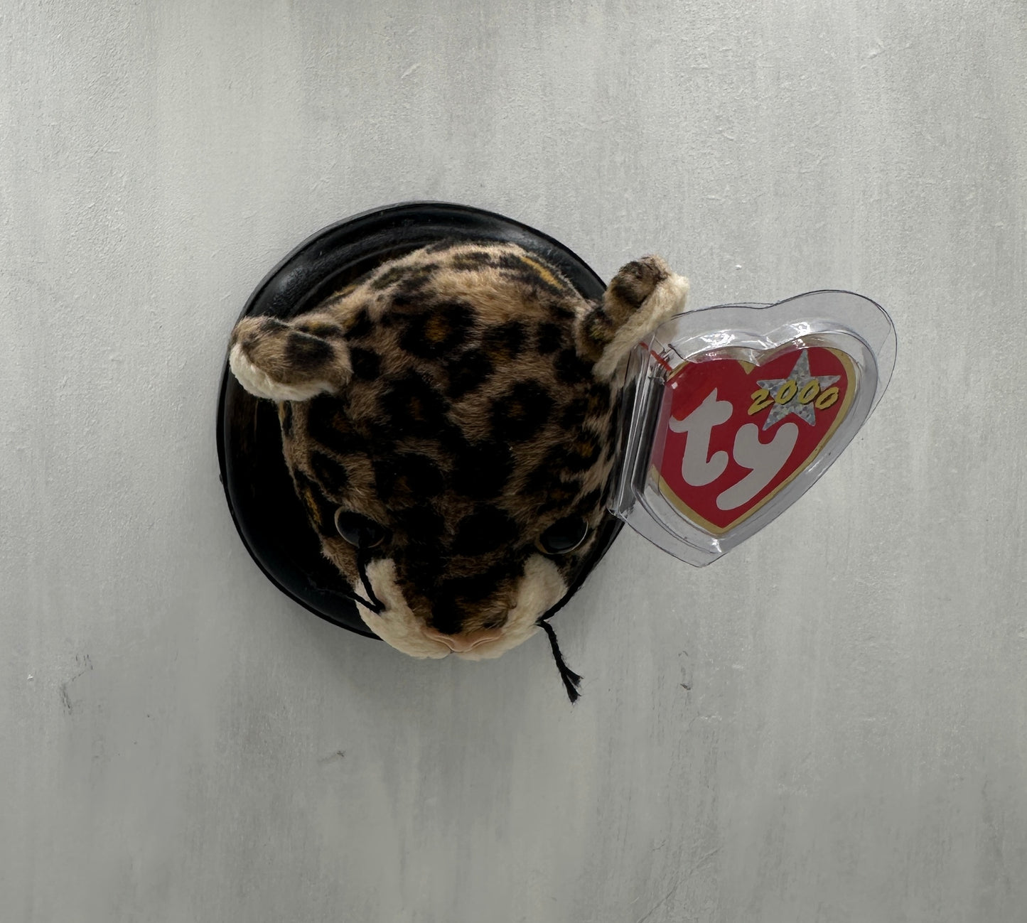 Sneaky Trophy Animal