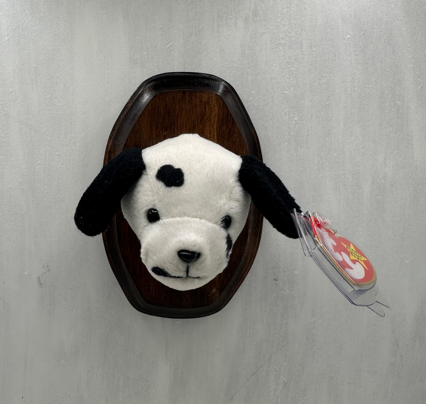 Dotty Trophy Animal