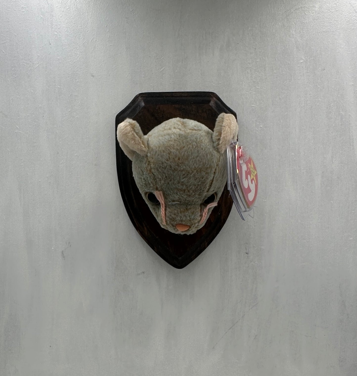 Scat Trophy Animal