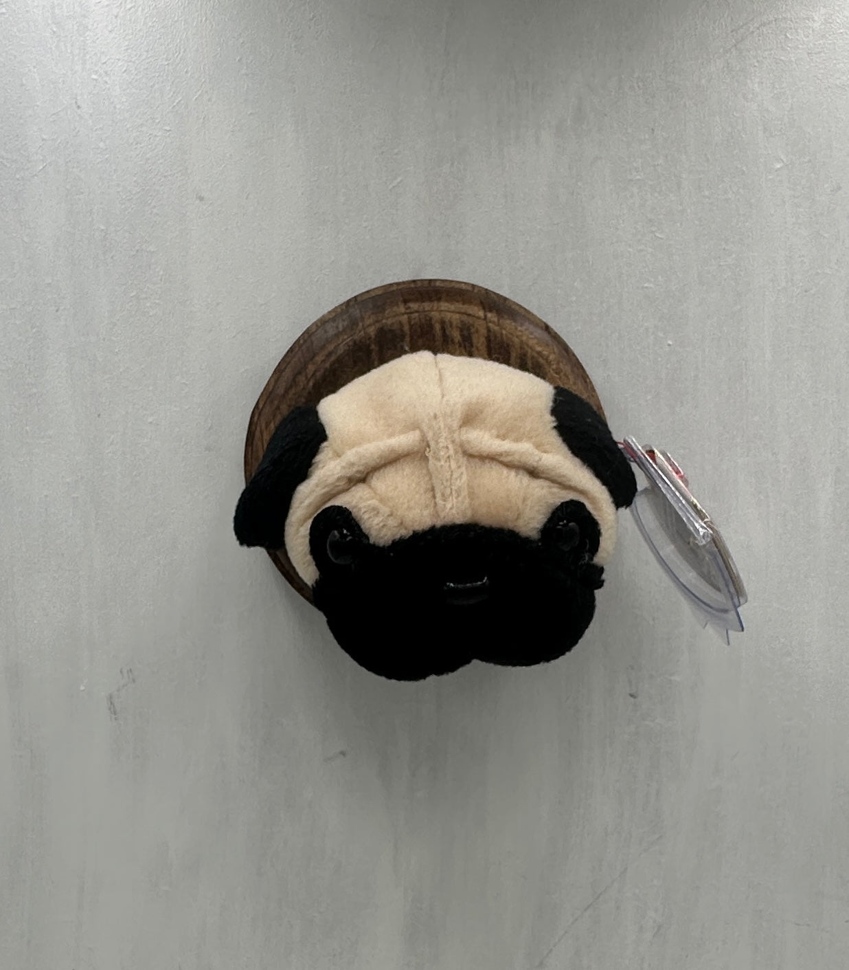 Pugsly Trophy Animal